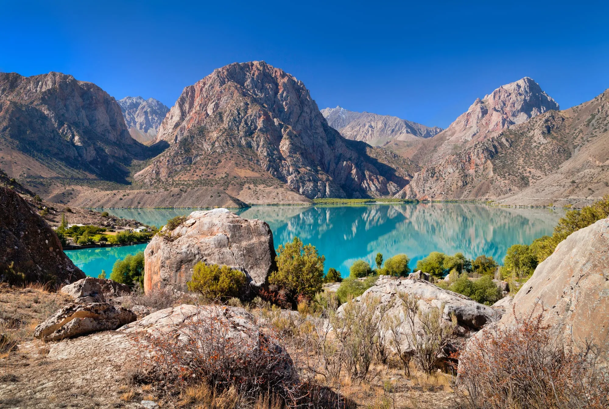 طبیعت زیبا